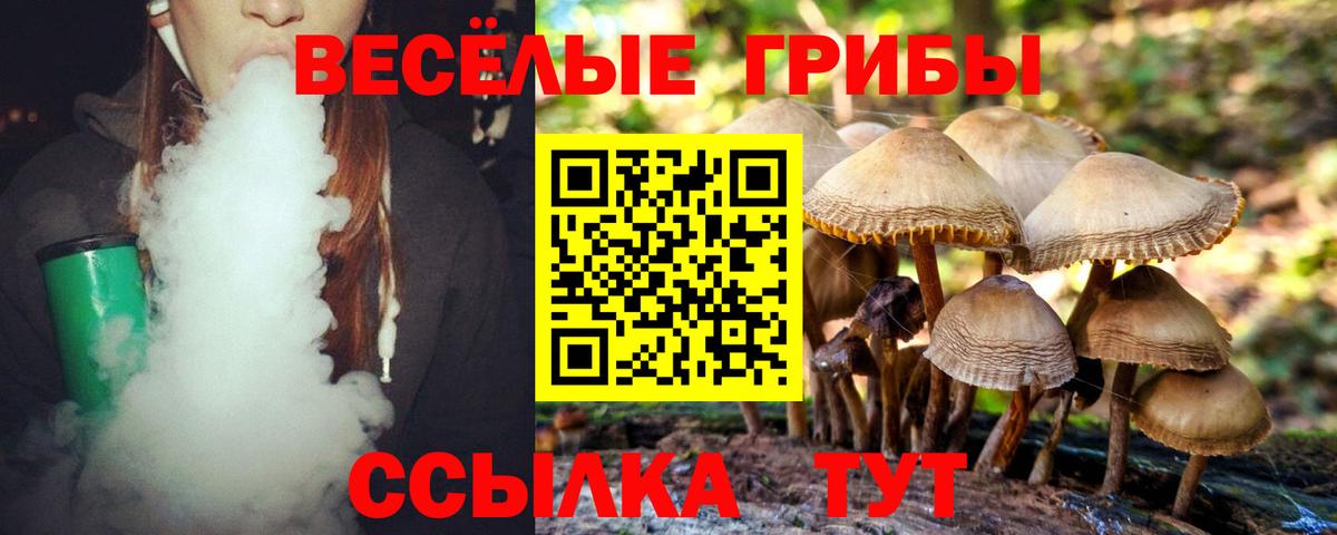 Белореченск  Галлюциногенные грибы мицелий  Вход с VPN  Псилоцибиновые грибы ЛСД 