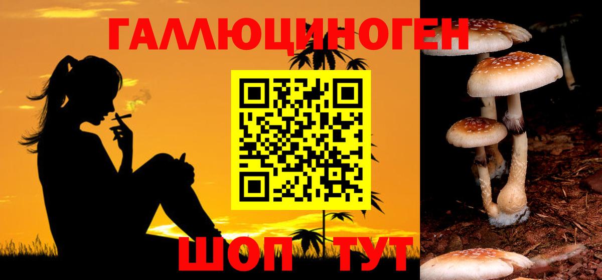 Галлюциногенные грибы GOLDEN TEACHER Белореченск